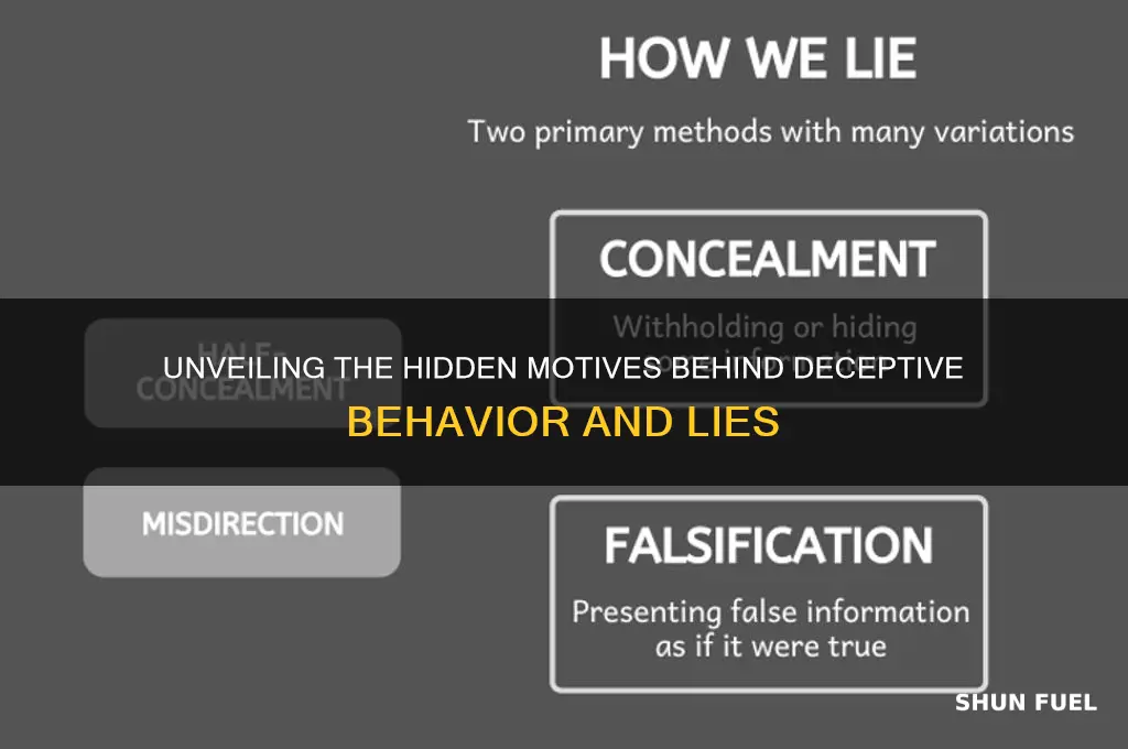 what fuels deceptive behavior