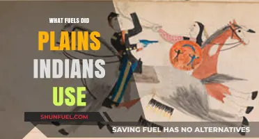Traditional Fuels of the Plains Indians: A Historical Overview