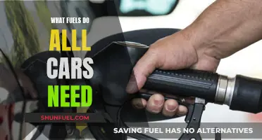 The Evolution of Car Fuels: What Do Cars Need?