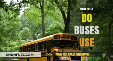 Exploring the Diverse Fuels Powering Buses Worldwide: A Comprehensive Guide