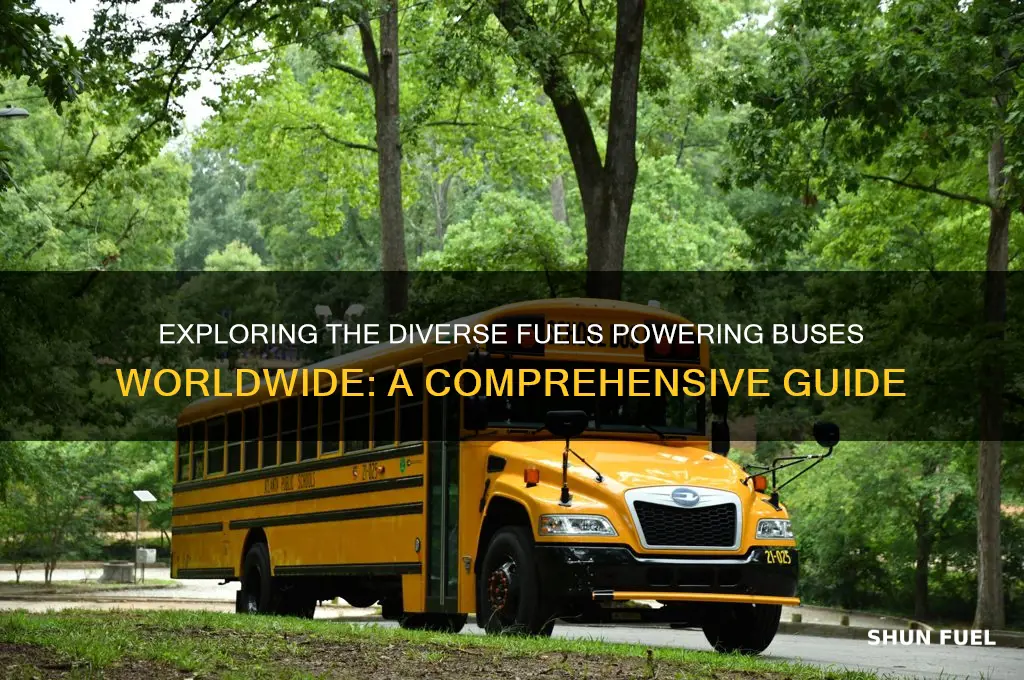what fuels do buses use