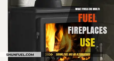 Multi-Fuel Fireplaces: Exploring the Diverse Fuels They Efficiently Burn