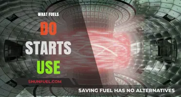 Stellar Energy Sources: Unveiling the Fuels Powering Stars' Cosmic Engines
