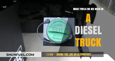 Diesel Truck Fuel Options: Exploring the Possibilities