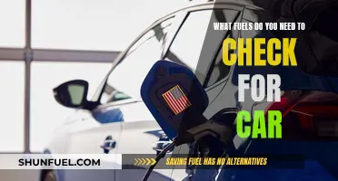The Right Fuel for Your Car: A Comprehensive Guide