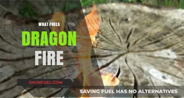 Unveiling the Mythical Secrets: What Fuels Dragon Fire Explained