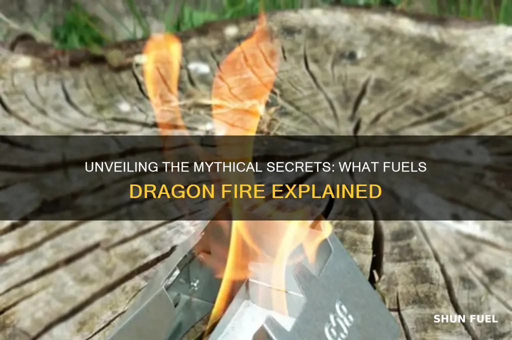 what fuels dragon fire