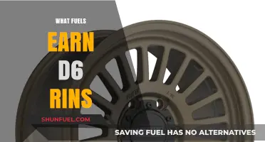 Unveiling the Secrets: What Fuels Earn D6 Rins Effectively