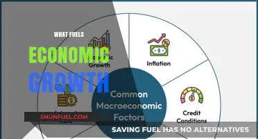 Driving Economic Growth: Key Factors and Strategies for Prosperity