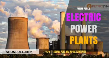 Powering the Grid: Exploring the Energy Sources Behind Electric Plants