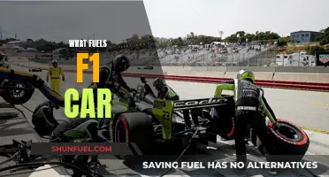 The Power Behind F1 Cars: Fuel Formulas Explored