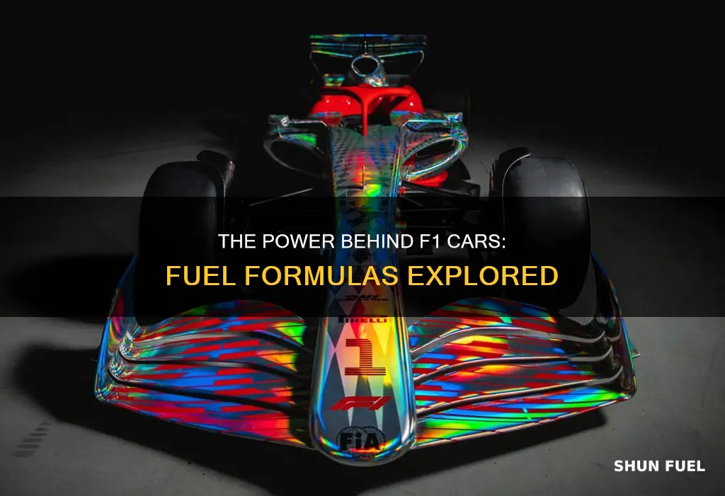 what fuels f1 car