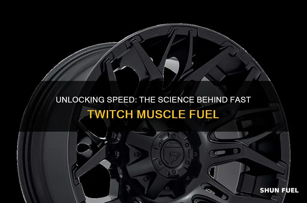 what fuels fast twitch muscles