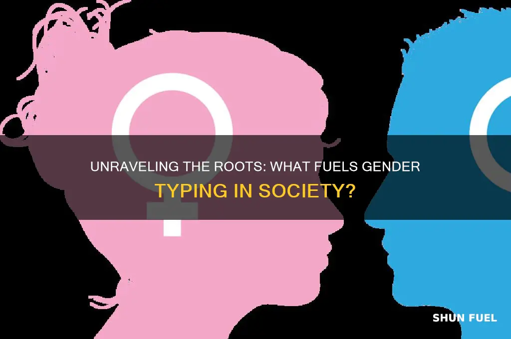 what fuels gender typing
