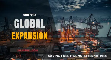 Driving Forces Behind Global Expansion: Key Factors and Trends