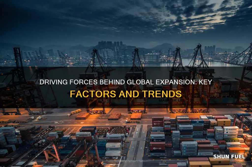 what fuels global expansion