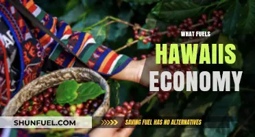 Tourism, Agriculture, and Innovation: The Engines Driving Hawaii's Economy