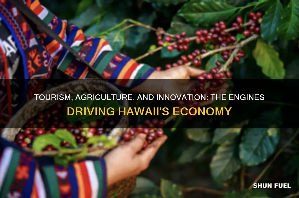 what fuels hawaiis economy