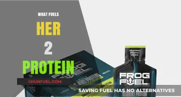 Unleashing Energy: The Power of Protein in Her Daily Fuel
