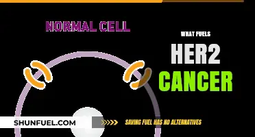 Unraveling HER2 Cancer: Key Drivers and Fueling Mechanisms Explained