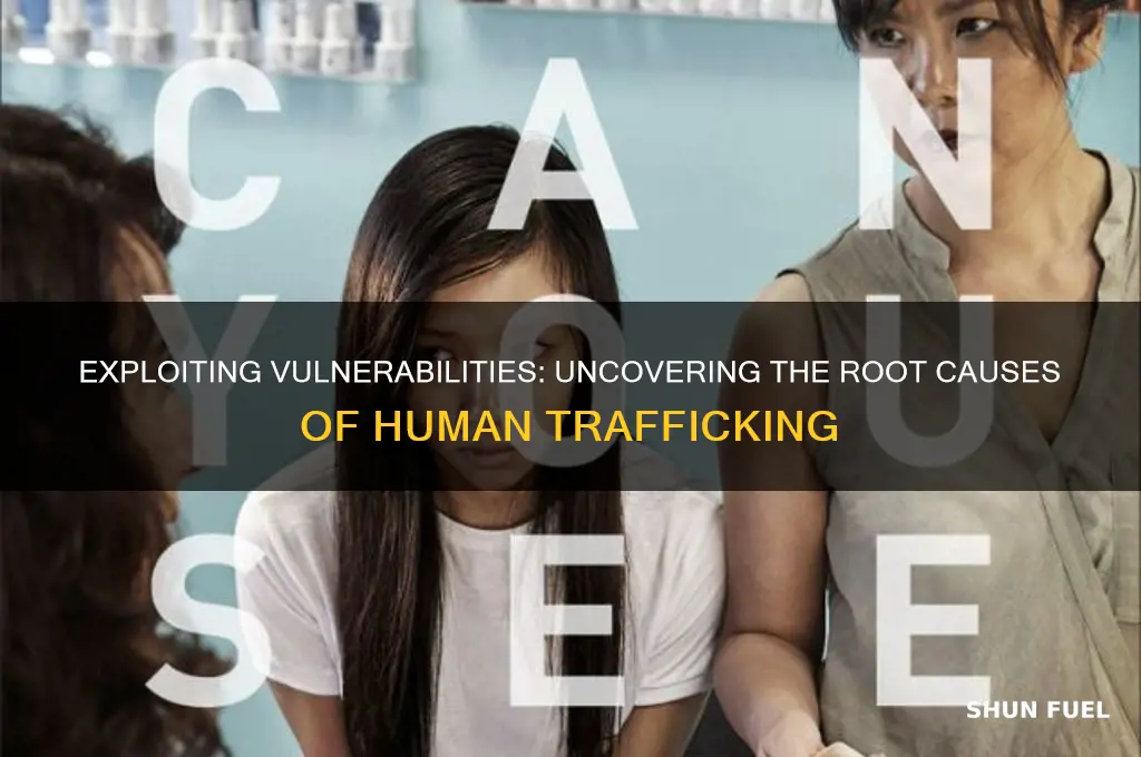 what fuels human trafficking