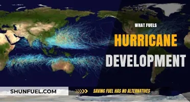 Unleashing Storms: Key Factors Driving Hurricane Formation and Intensity