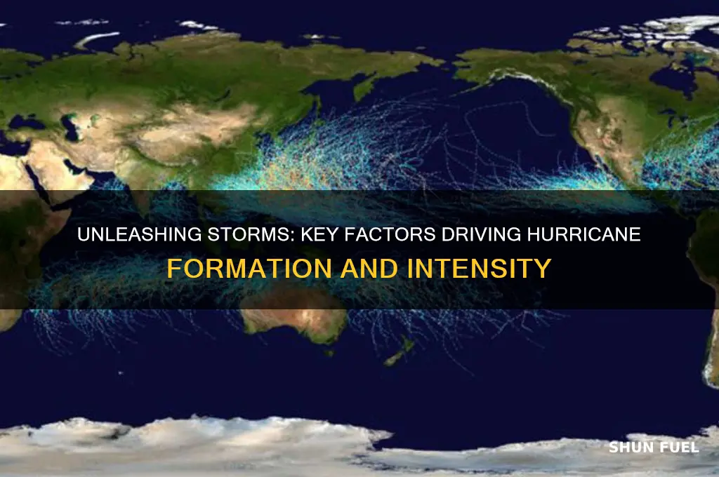 what fuels hurricane development