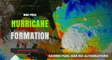 Unraveling the Power Source: What Fuels Hurricane Formation and Intensity