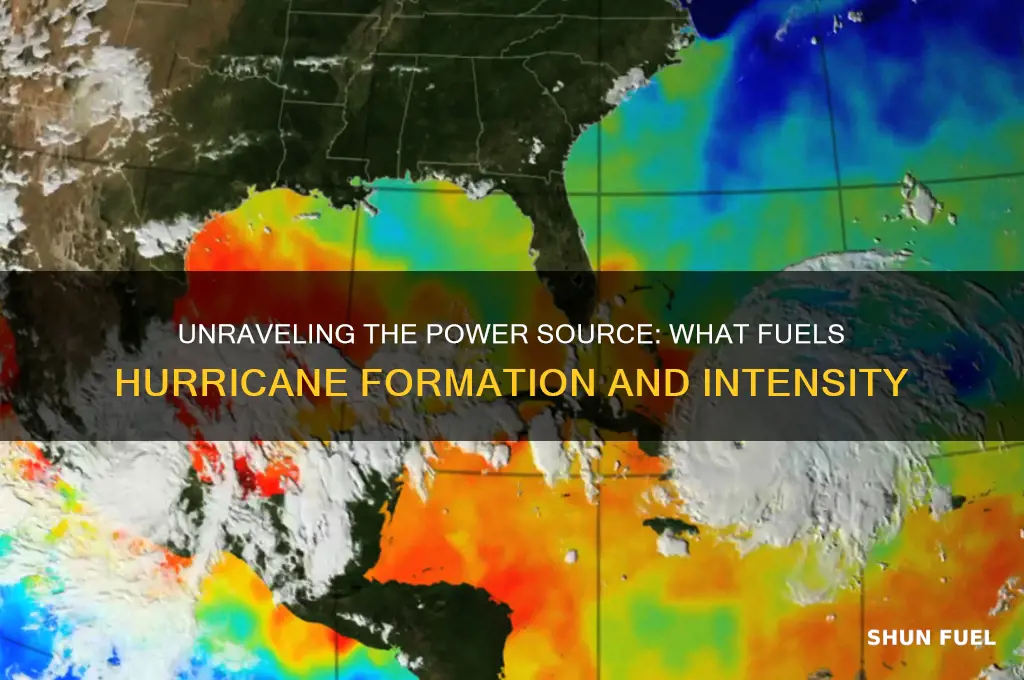 what fuels hurricane formation