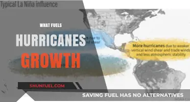 Unleashing Fury: Key Factors Driving Hurricane Intensity and Expansion