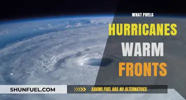 Warm Fronts and Hurricane Intensity: Unraveling the Heat-Driven Storm Dynamics