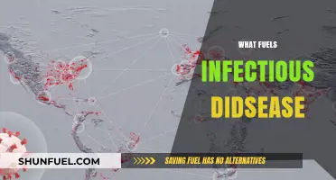 Unveiling the Drivers Behind the Spread of Infectious Diseases