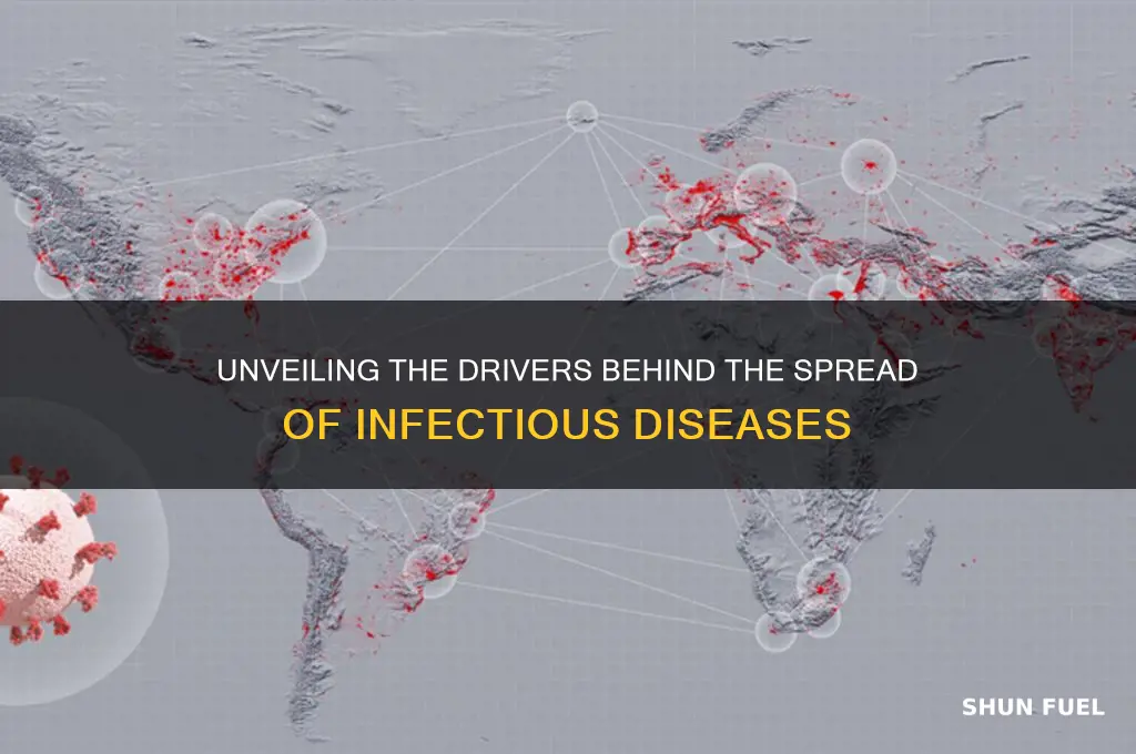 what fuels infectious didsease