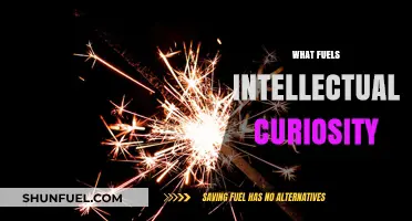 Unleashing the Spark: Exploring the Drivers of Intellectual Curiosity