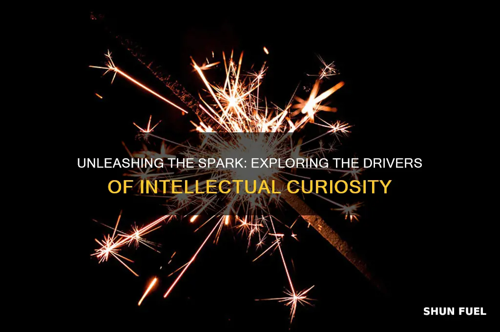 what fuels intellectual curiosity