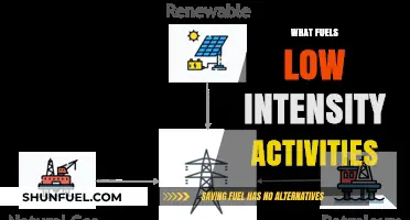 Sustaining Energy: Understanding the Fuel for Low-Intensity Activities