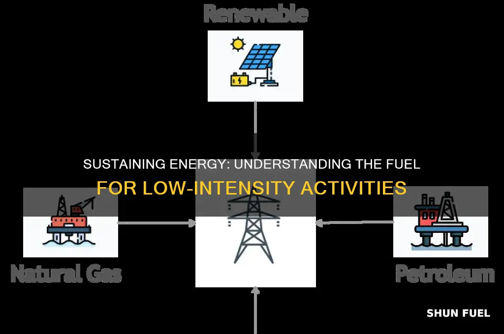 what fuels low intensity activities