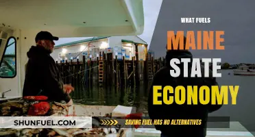 Driving Forces Behind Maine's Thriving Economy: Key Industries and Growth Factors
