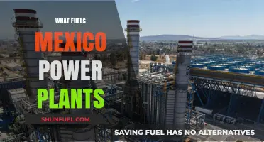 Mexico's Power Plants: Unveiling the Diverse Energy Sources Behind the Grid
