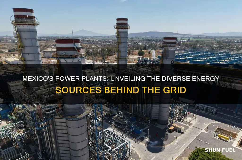 what fuels mexico power plants
