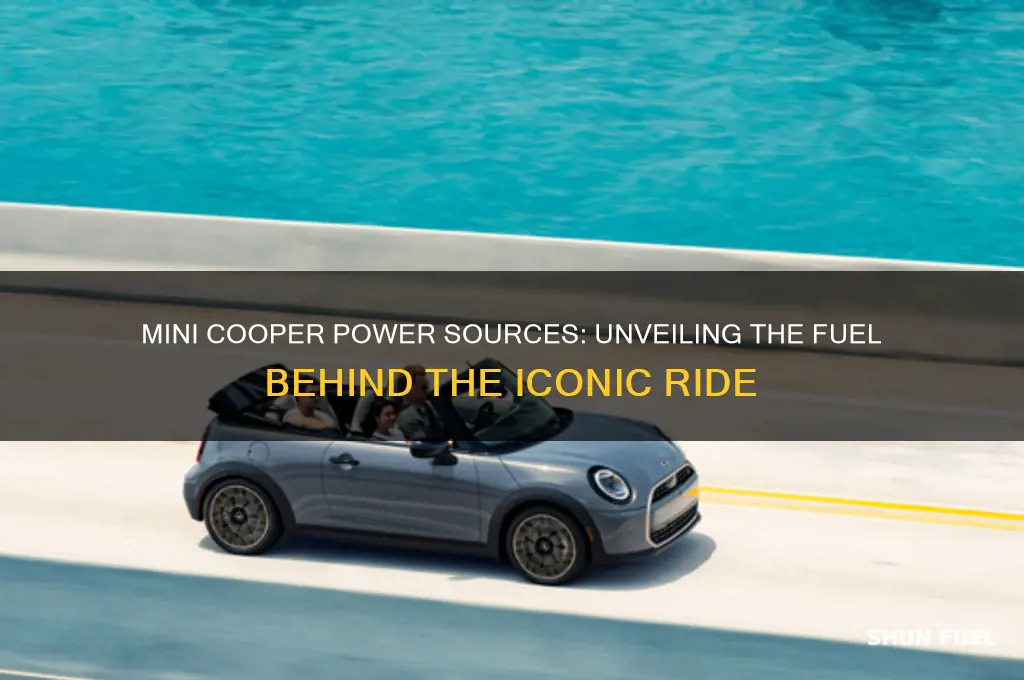 what fuels mini coopers