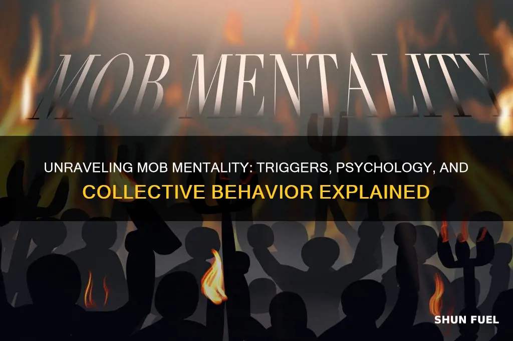 what fuels mob mentality
