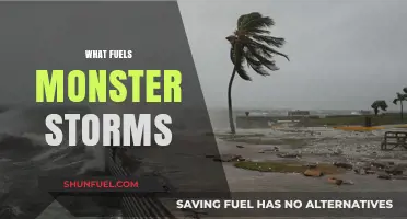 Unleashing Fury: The Science Behind What Fuels Monster Storms