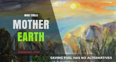 Sustaining Life: The Essential Forces Powering Mother Earth's Vitality