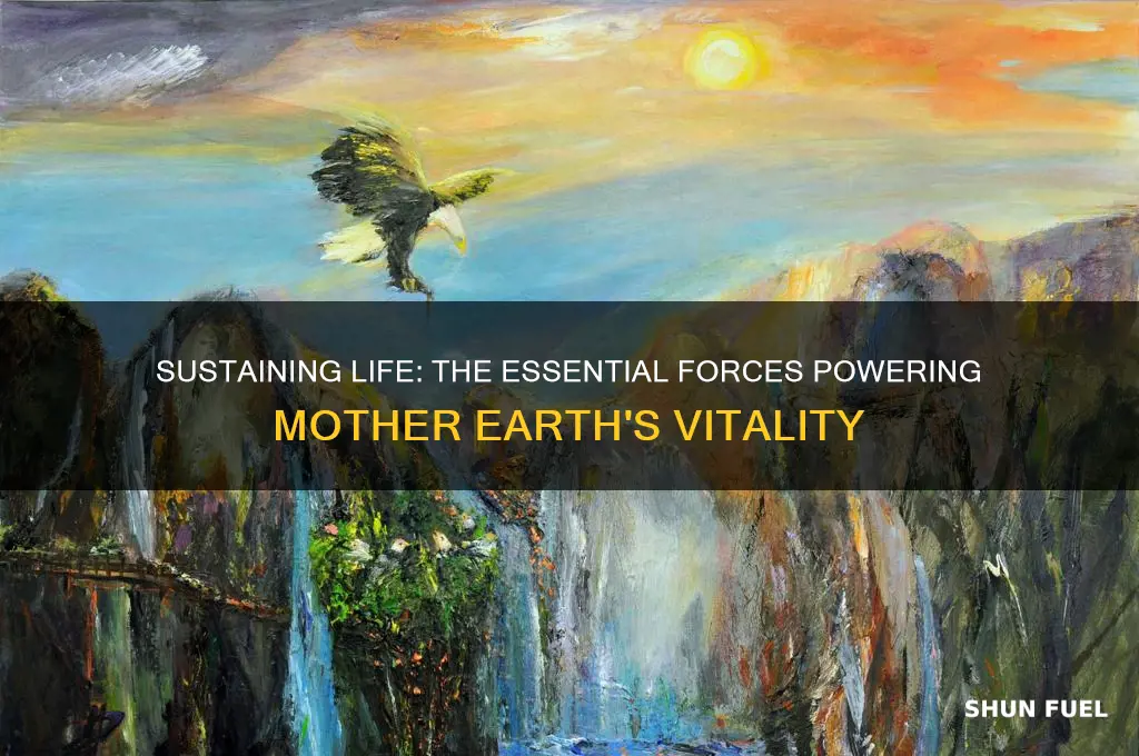 what fuels mother earth
