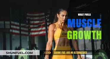 Unlocking Muscle Growth: Nutrition, Training, and Recovery Essentials