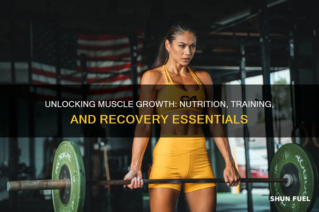 what fuels muscle growth