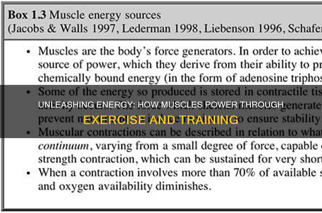 what fuels muscles during exercise