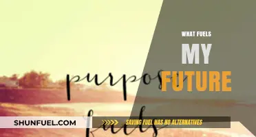 Passion, Purpose, and Progress: The Driving Forces Behind My Future