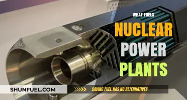 Unveiling the Core: What Fuels Nuclear Power Plants and How